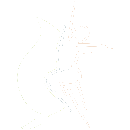icono vidasanaherbal